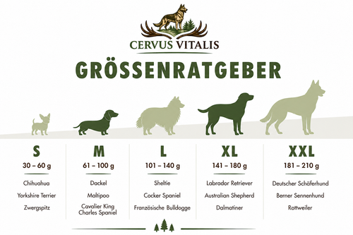 Geweih Kaustange - ganz & halbiert