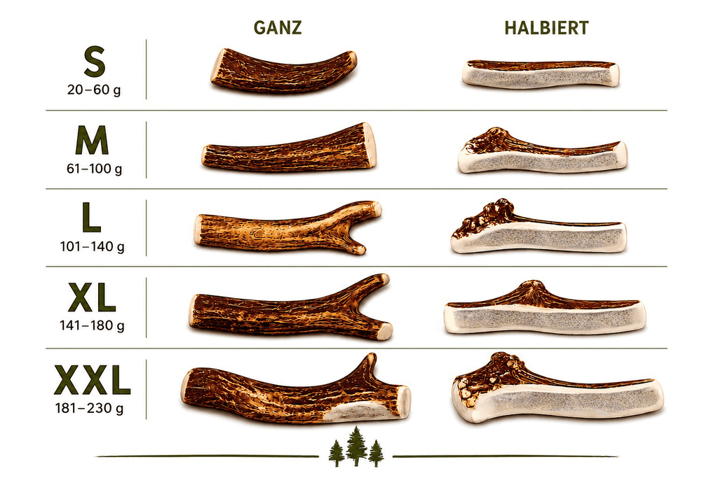 2er Pack - Geweih Kaustangen